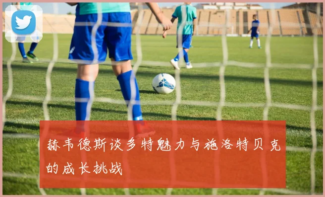 赫韦德斯谈多特魅力与施洛特贝克的成长挑战