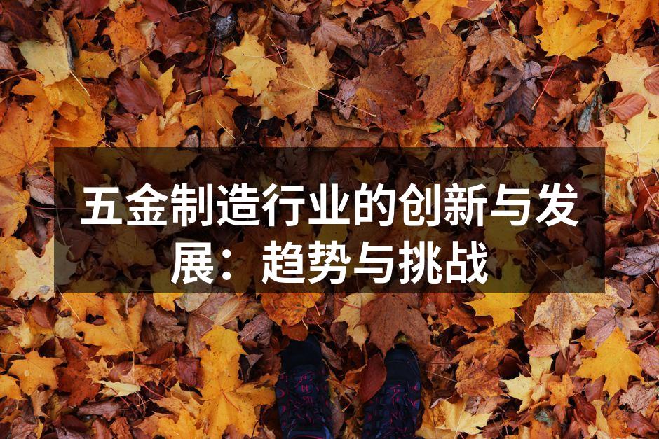 五金制造行业的创新与发展:趋势与挑战